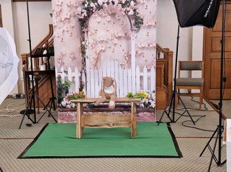 Family / Couples & Children Portraits