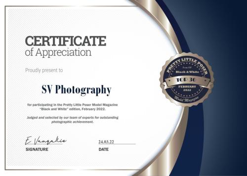 Certificate Template Top 30 Award